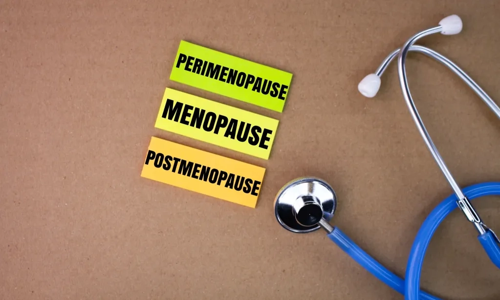 <p>Wanita Lebih Berisiko Depresi Saat Perimenopause</p>