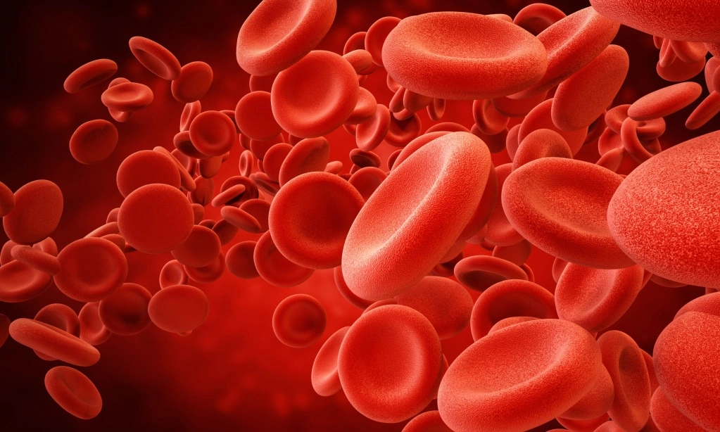 <p>Banyak RS Kesulitan Melayani Pasien Talasemia</p>