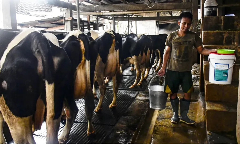 <p id="isPasted">Airlangga Masih Bungkam Soal Deregulasi Impor Susu</p>