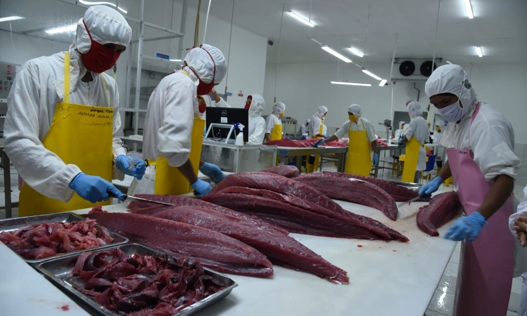 <p id="isPasted">KKP Antisipasi Puncak Musim Tuna Di Pulau Morotai</p>