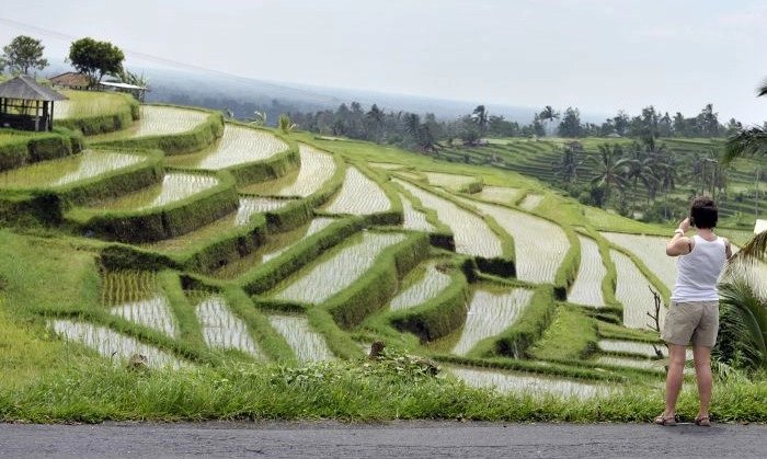 <p>Sistem Subak Bisa Jadi Solusi Pengelolaan Air Berkelanjutan </p>