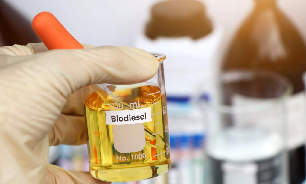 <p id="isPasted">Program Biodiesel Terus Naik, Ekspor Sawit RI Terancam Defisit</p>