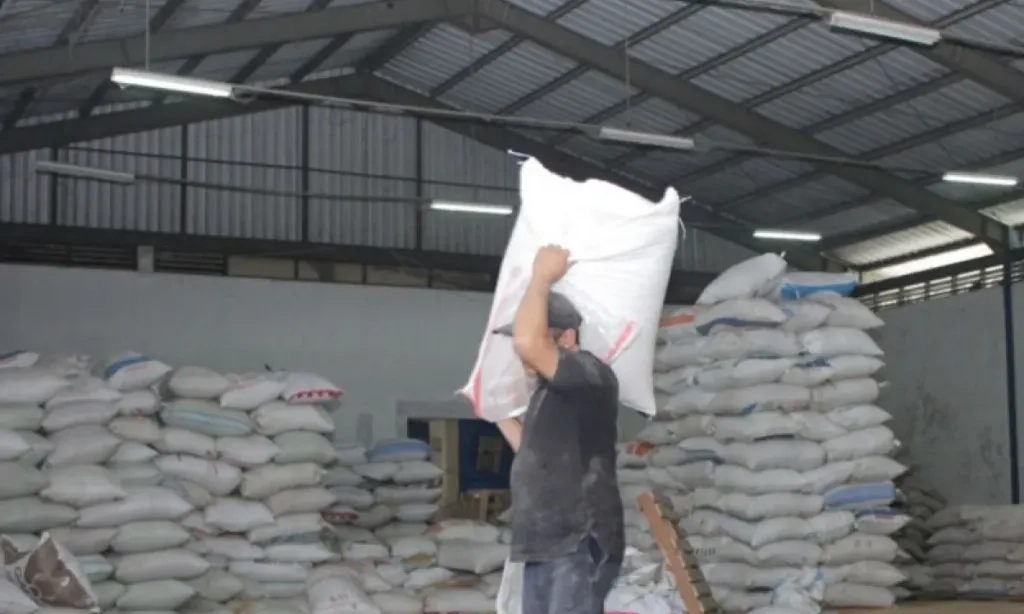 <p id="isPasted">BI: Resi Gudang Bisa Dijadikan Agunan Untuk Pinjam Modal</p>