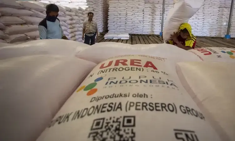 <p id="isPasted">Dirut Pupuk Indonesia Sebut Distribusi Pupuk Subsidi Terhambat SK Pemda</p>