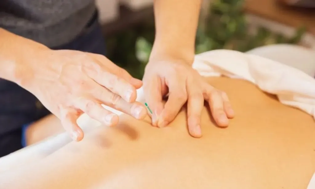 <p>Akupuntur Dapat Bantu Atasi Rasa Tidak Nyaman Selama Kehamilan</p>