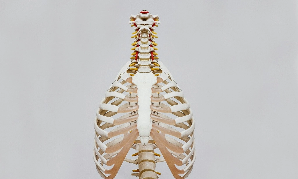 <p>Mengenal Obat-Obatan Yang Bisa Membuat Tulang Cepat Rapuh</p>