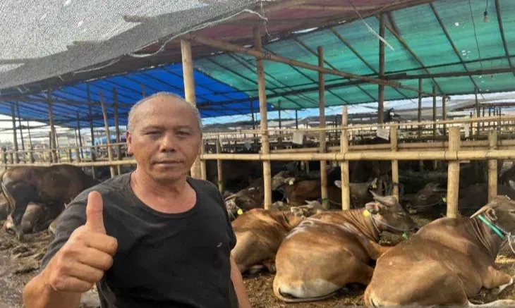 <p>Sapi Bali, Primadona Hewan Kurban Pilihan Warga Jakarta</p>