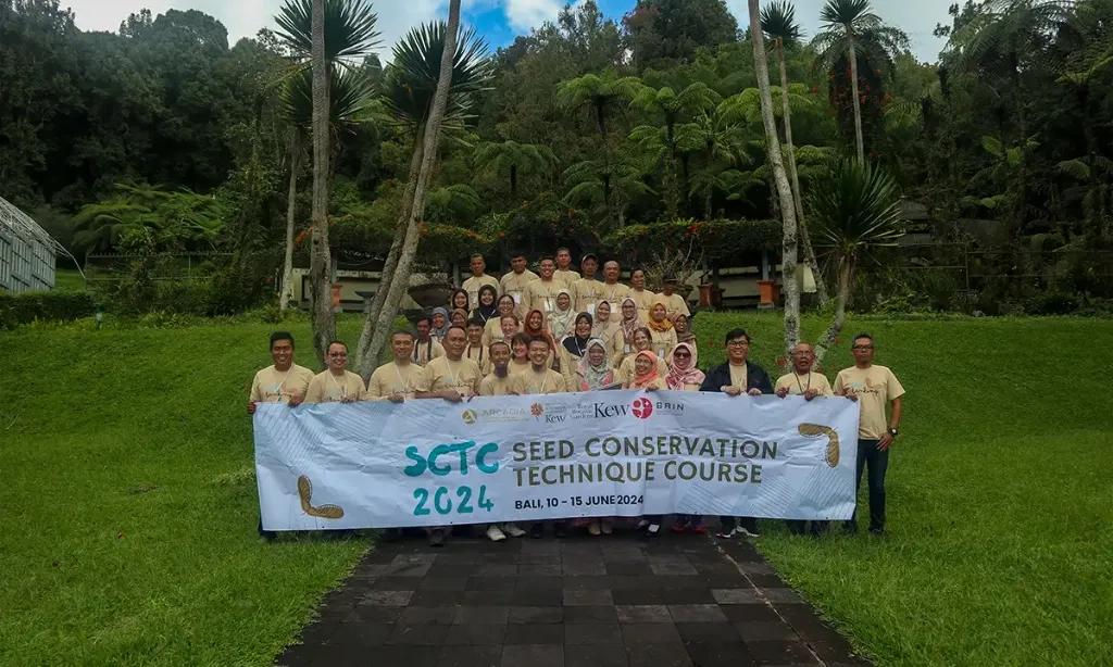 <p>BRIN Tekankan Pentingnya Bank Benih Cegah Kepunahan Tumbuhan</p>