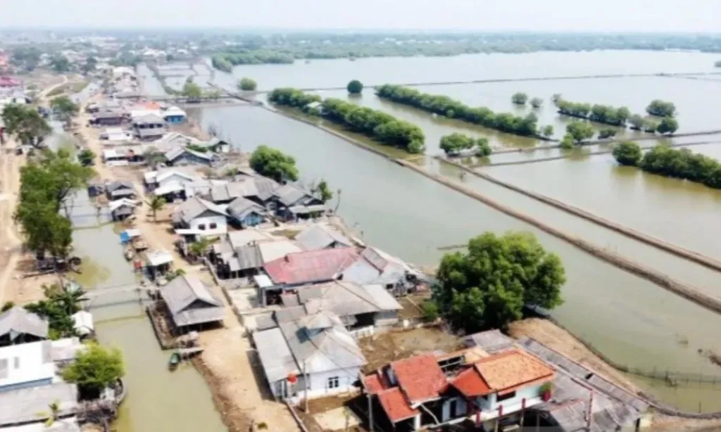 <p>Pemkab Bekasi: 14.000 Ha Lahan Hutan Muaragembong Menanti Sertifikasi</p>
