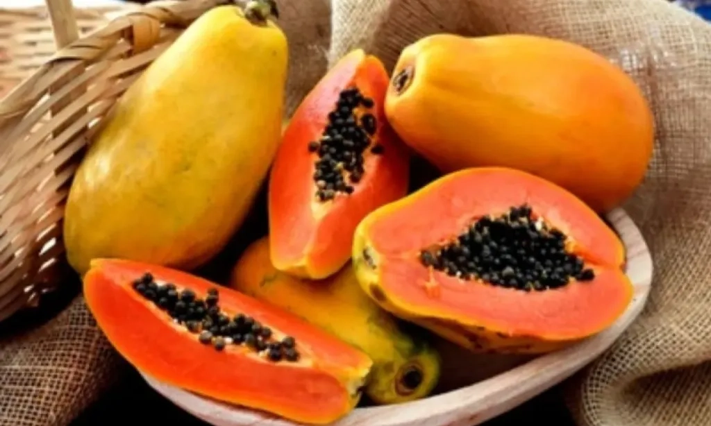 <p>Makan Pepaya Bisa Bantu Turunkan Kolesterol</p>