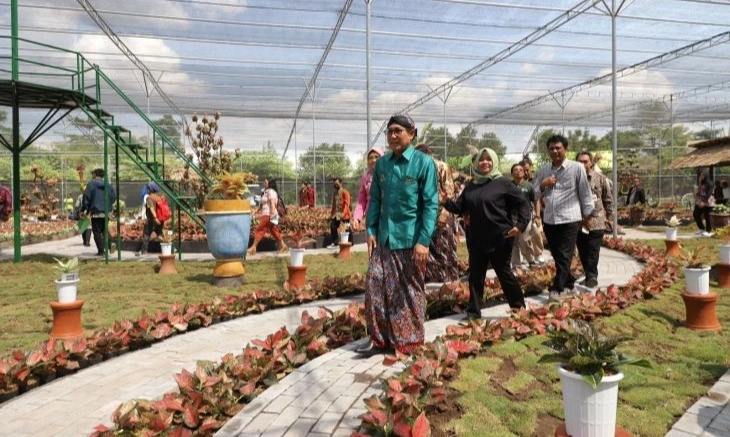 <p>Aglaonema Park, Destinasi Taman Tanaman Hias Pertama Di Indonesia</p>