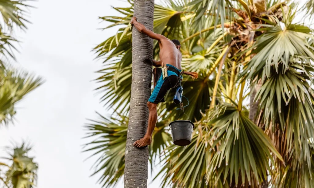 <p>Pemerintah Susun Peta Jalan Ekonomi Lontar Bagi UMKM NTT &nbsp;</p>