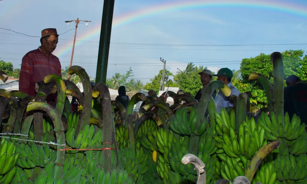 <p id="isPasted">Kementan Gandeng <em>Startup</em> Luncurkan Proyek Pengembangan Hortikultura</p>