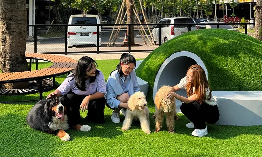 <p>Bahaya Memberikan Obat Manusia Ke Anabul</p>