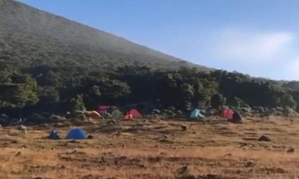 <p>TNGGP Catat Penurunan Suhu Udara Di Gunung Gede Pangrango</p>