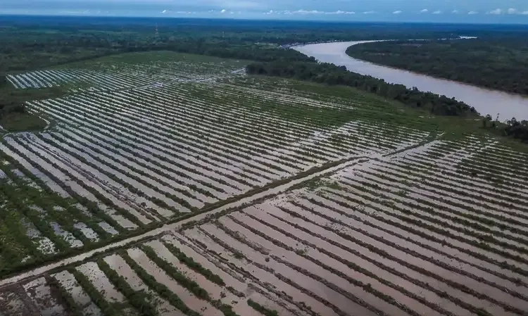 <p>Bapanas Petakan Ketersediaan Pangan Untuk Antisipasi Dampak Kemarau</p>