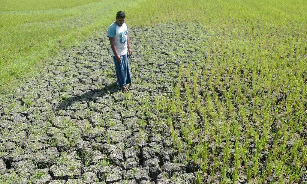 <p>BMKG Catat Sebagian Daerah Alami Kekeringan Ekstrem</p>