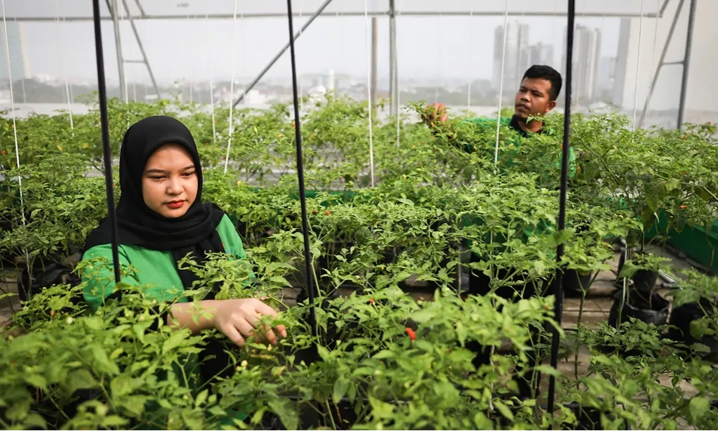 <p>Pasar Mayestik Jadikan Atap Untuk <em>Urban Farming</em></p>