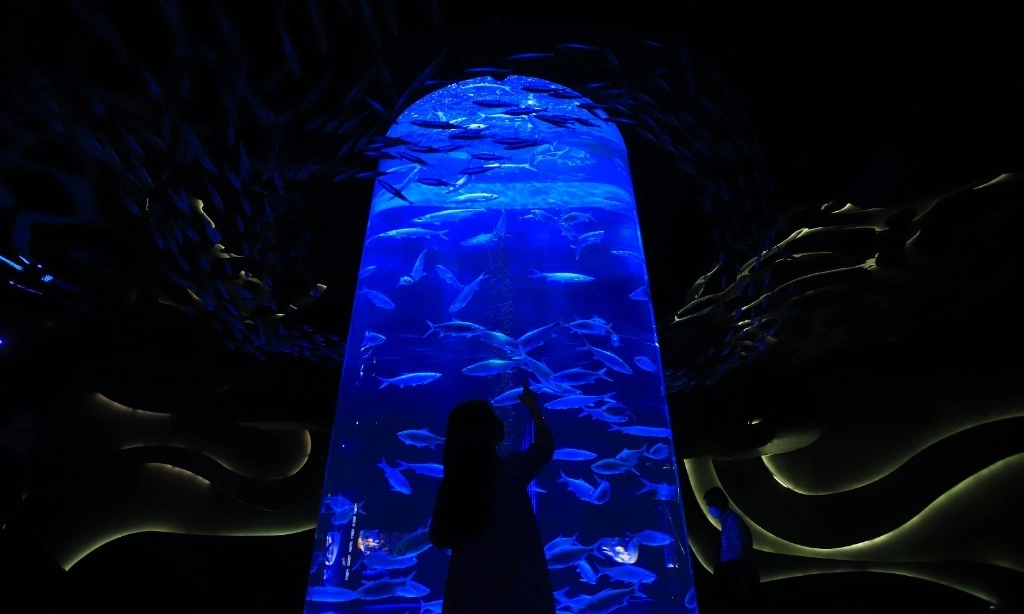 <p>Rayakan HUT RI, Jakarta Aquarium &amp; Safari Punya Lomba Panjat Pinang Dalam Air</p>