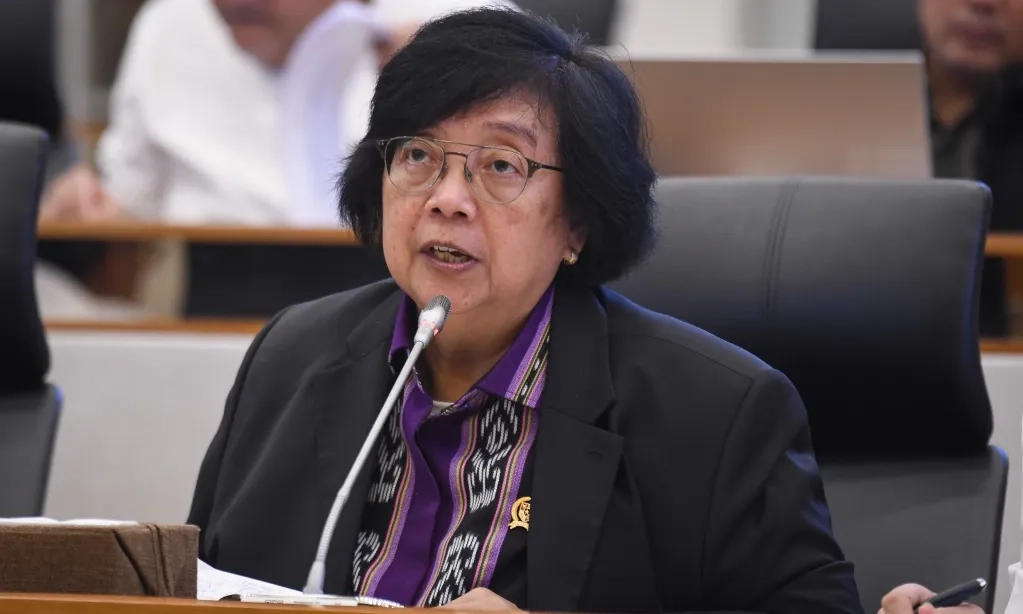 <p>Menteri LHK Sebut KLHS Satu Juta Hektare <em>Food Estate</em><em>&nbsp;</em>Sudah Ada</p>