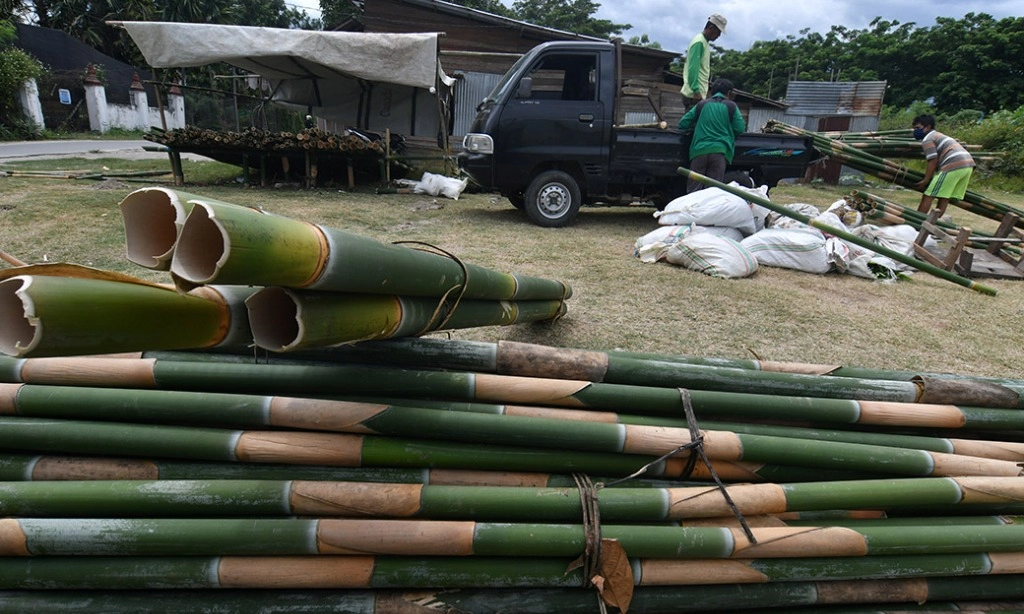 <p>BRIN Sebut Ada Tantangan Pelajari Taksonomi Bambu di Indonesia</p>