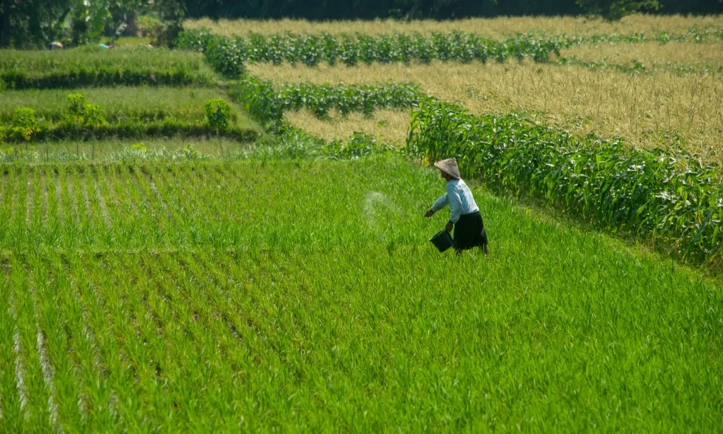 <p>LaporIklim Dan KRKP Beberkan 5 Masalah Utama Pertanian</p>