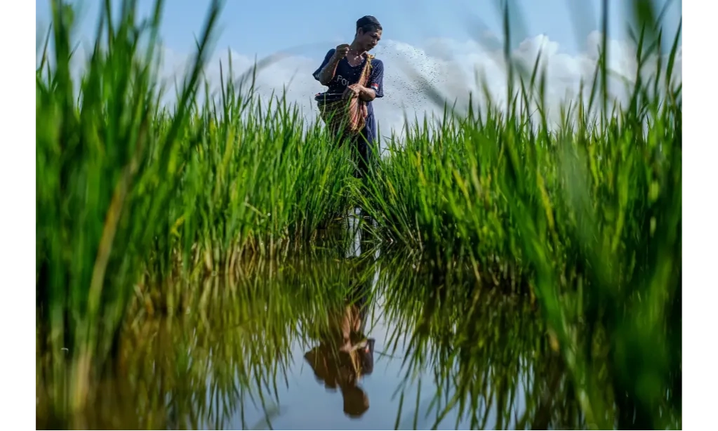 <p id="isPasted">Wamentan Pastikan Pupuk Subsidi Tersedia Untuk Musim Tanam Oktober</p>