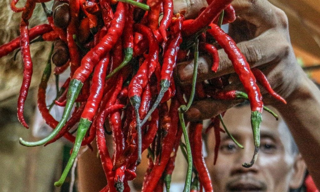 <p id="isPasted">Harga Pangan Ramai-Ramai Turun, Cabai Keriting Jadi Rp26.970 Per Kg</p>