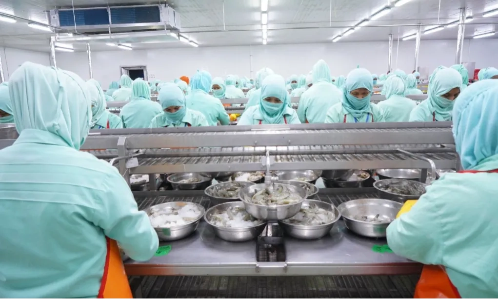 <p id="isPasted">Imbas Tuduhan Antidumping, KKP Buka Peluang Pasar Produk Udang RI</p>