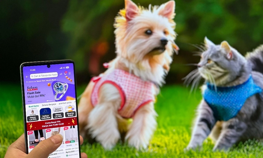 <p>Tampil Kece Dengan Outfit Kembar Anabul</p>