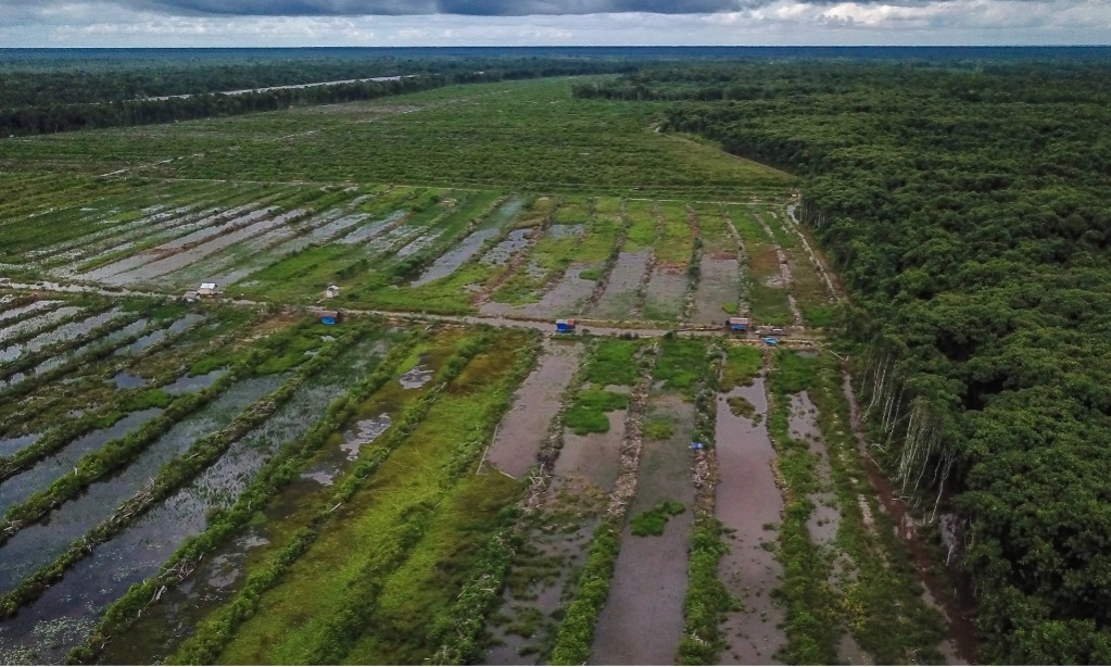 <p id="isPasted">PU: Irigasi Dadahup Dukung <em>Food Estate&nbsp;</em>Kalteng Untuk Swasembada Pangan</p>