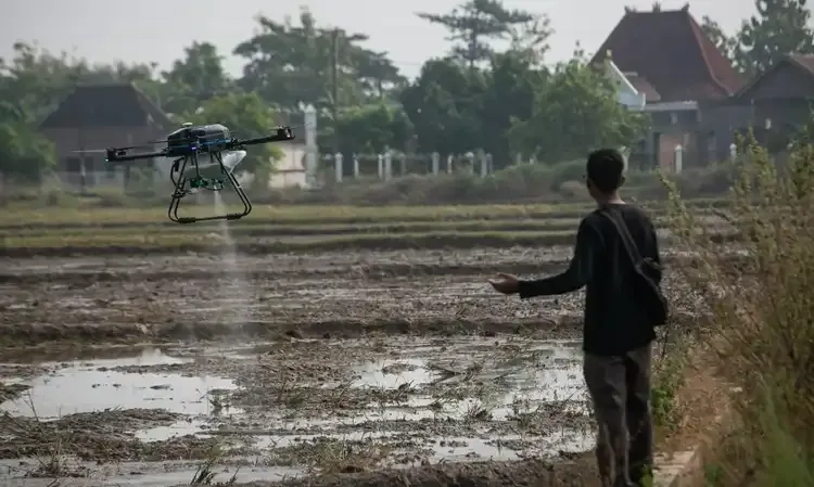 <p>CIPS: Bangun Sistem Agropangan Berkelanjutan Untuk Entaskan Kemiskinan Dan Mitigasi Iklim</p>