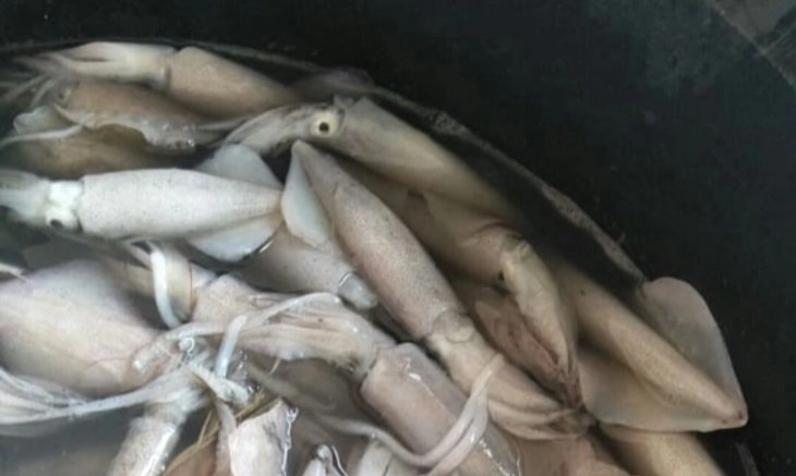 <p id="isPasted">Cumi Beku RI Jadi Primadona di Pameran Boga Bahari Korea Selatan</p>