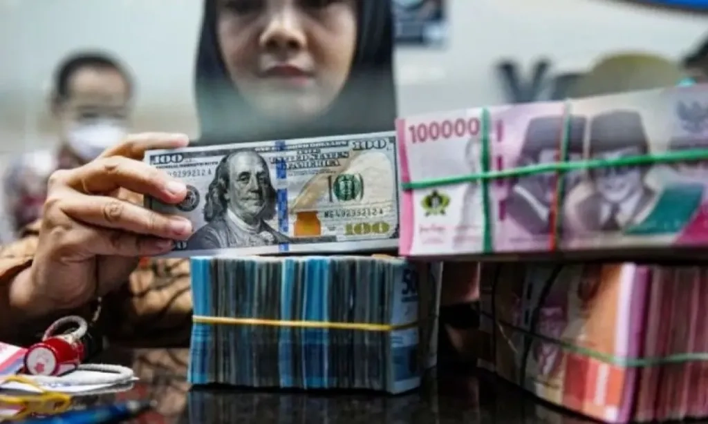 <p dir="ltr" id="isPasted">Pengamat: BI Punya Ruang Pangkas Suku Bunga Acuan Di RDG November</p>