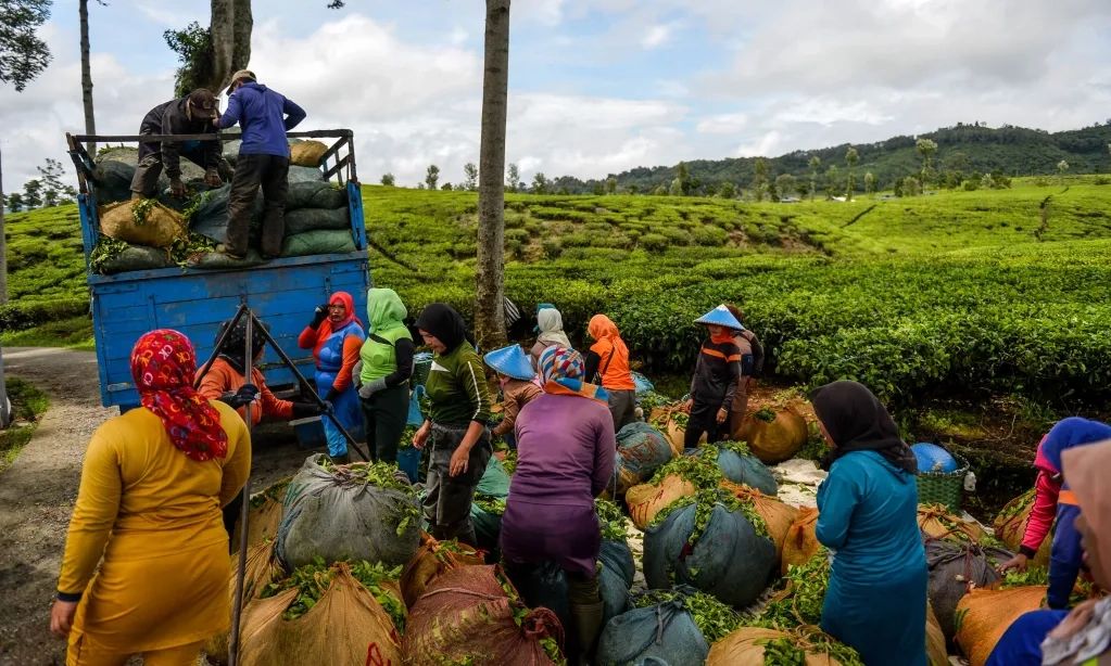 <p>Nilai Tukar Petani November 2024 Naik 0,49%</p>