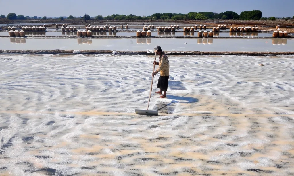 <p id="isPasted">Bakal Ada Pembatasan Impor Garam, Begini Respons PT Indofood</p>