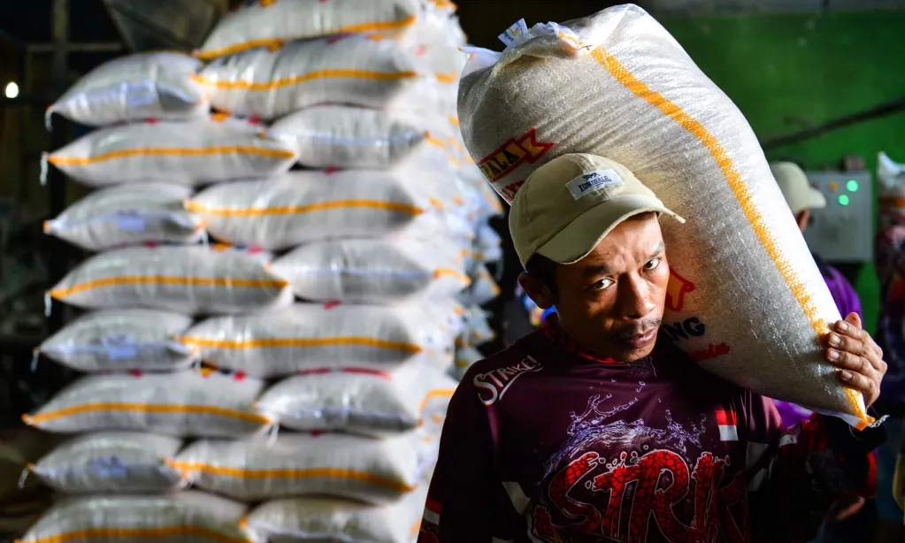 <p id="isPasted">Zulhas Pastikan Harga dan Stok Pangan Aman Jelang Akhir Tahun</p>