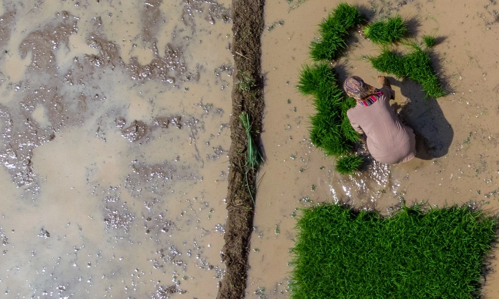 <div dir="auto" id="isPasted">Kementan Tegaskan Alokasi Pupuk e-RDKK Tak Bisa Diperjualbelikan&nbsp;</div>