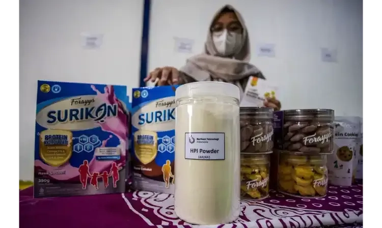<p id="isPasted">Susu Ikan Akan Jadi Alternatif di Makan Bergizi Gratis</p>