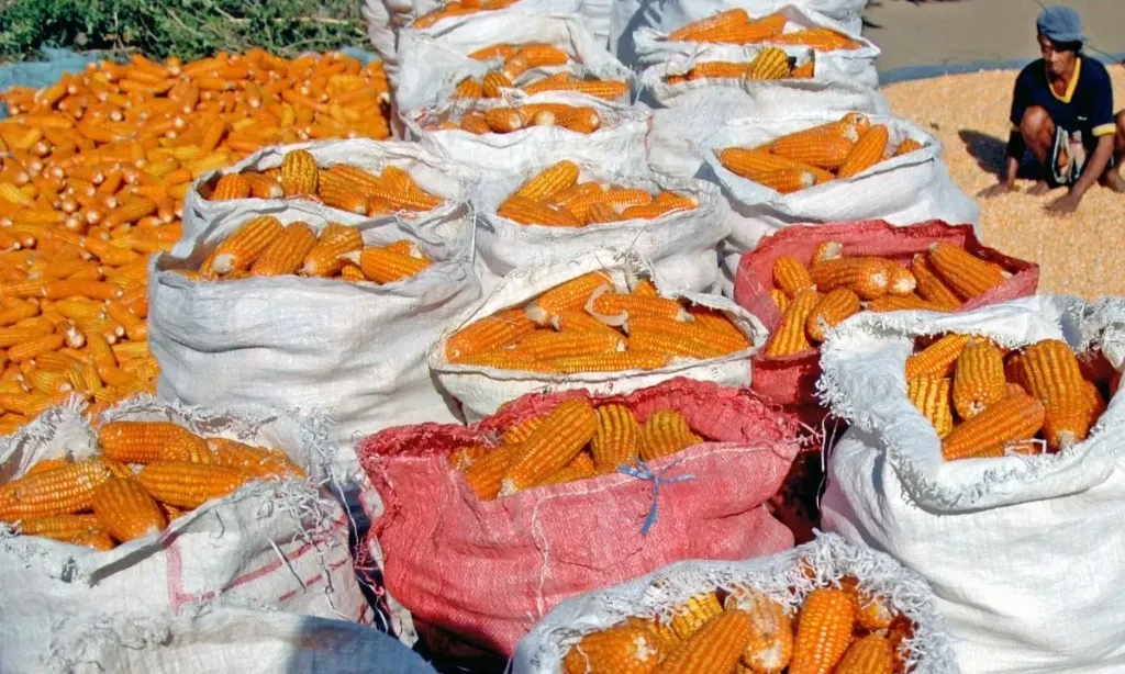 <p>Kemenkop-Kadin Inisiasi Pembentukan Pabrik Pakan Ternak</p>