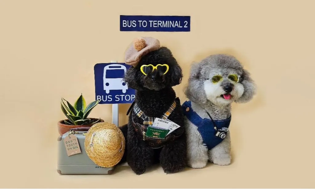 <p id="isPasted">Petiquet; Menambah Kegemasan Anabul Lewat <em>Fashion Handmade</em></p>