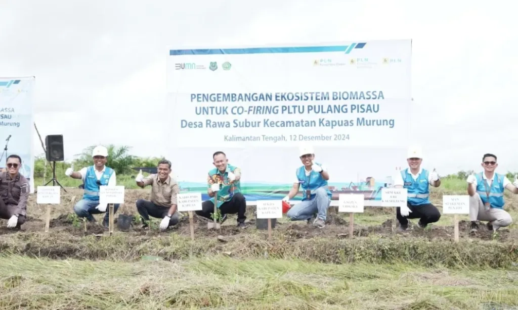 <p>PLN Kelola Tanaman Gamal Untuk<em>&nbsp;Cofiring </em>PLTU Pulang Pisau Kalteng</p>