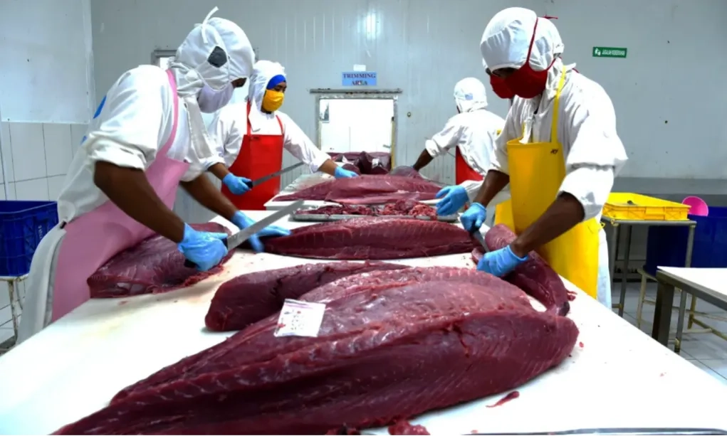 <p id="isPasted">Industri Pengolahan Salmon dan Tuna Kena Dampak PPN 12%? Ini Penjelasan Wamenperin</p>