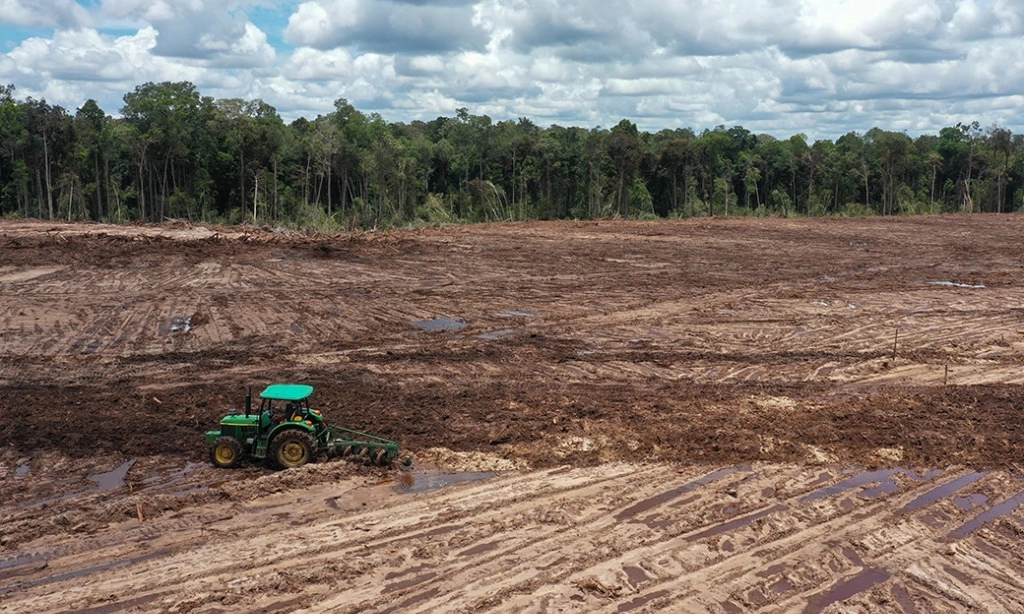 <p>Harapan Ketahanan Pangan Vs. Ancaman Lingkungan</p>