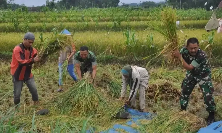 <p id="isPasted">Kementan Ingatkan Hoaks Soal Brigade Pangan</p>