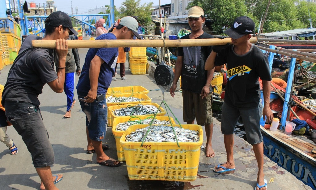 <p>Berburu Seafood Murah Untuk Tahun Baru Di Pasar Ikan Sekitar Ibu Kota</p>