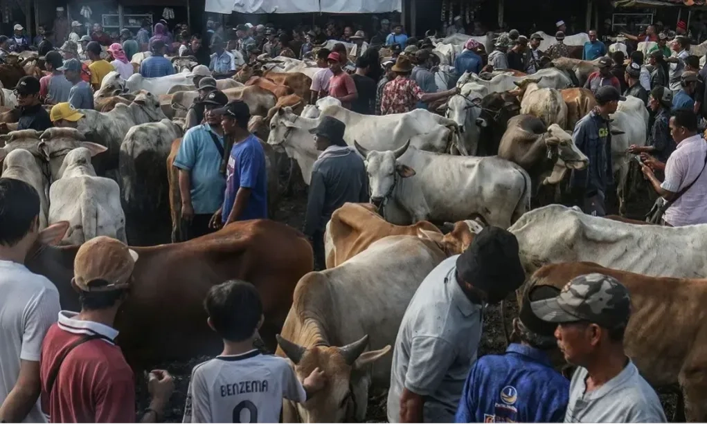 <p>Cegah PMK Purwakarta Tolak Hewan Ternak Jatim dan Jateng</p>