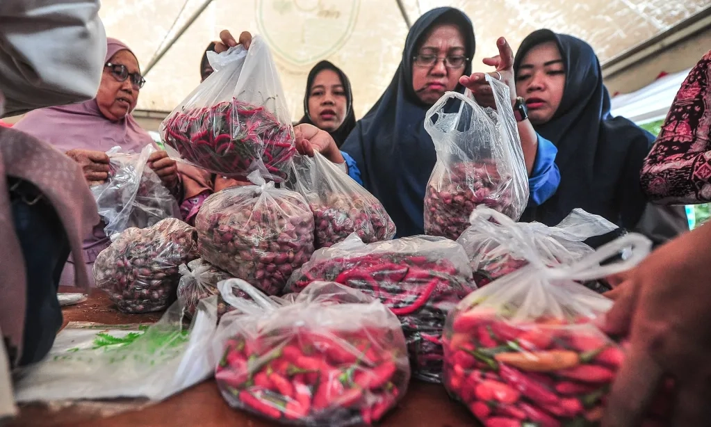 <p>Bapanas/NFA: Harga Cabai Mahal Saat Ini Serupa Awal 2024</p>