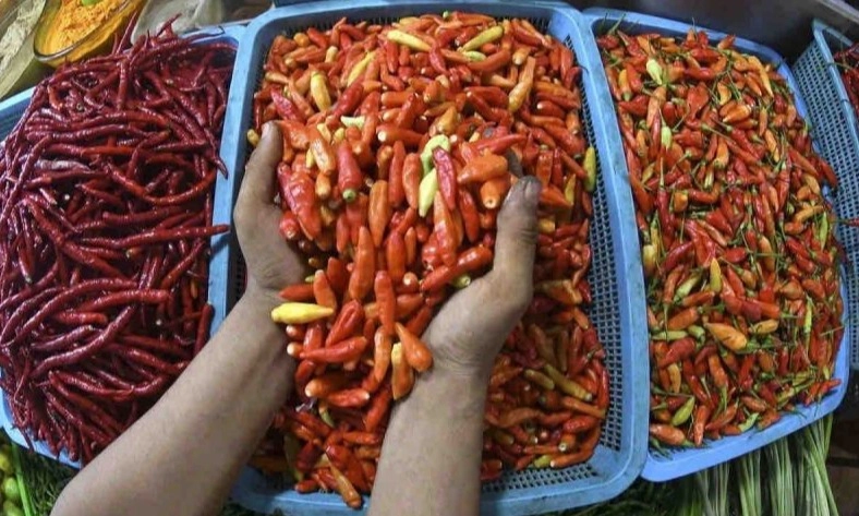 <p>Bapanas: Harga Pangan Sabtu Turun, Cabai Dan Daging-dagingan Naik</p>