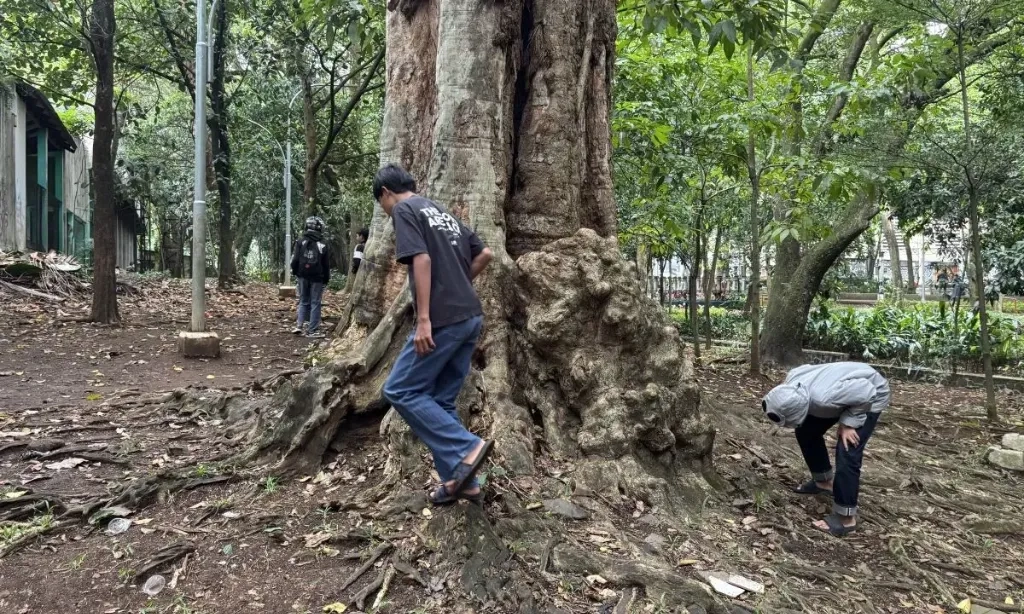 <p>Kontroversi Koin Jagat, Tren Berburu Koin Yang Marak Di Kota Besar</p>